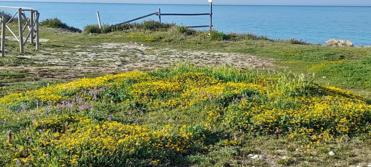 Villa Villino Il Melograno Torre Specchia Ruggeri Esterno foto